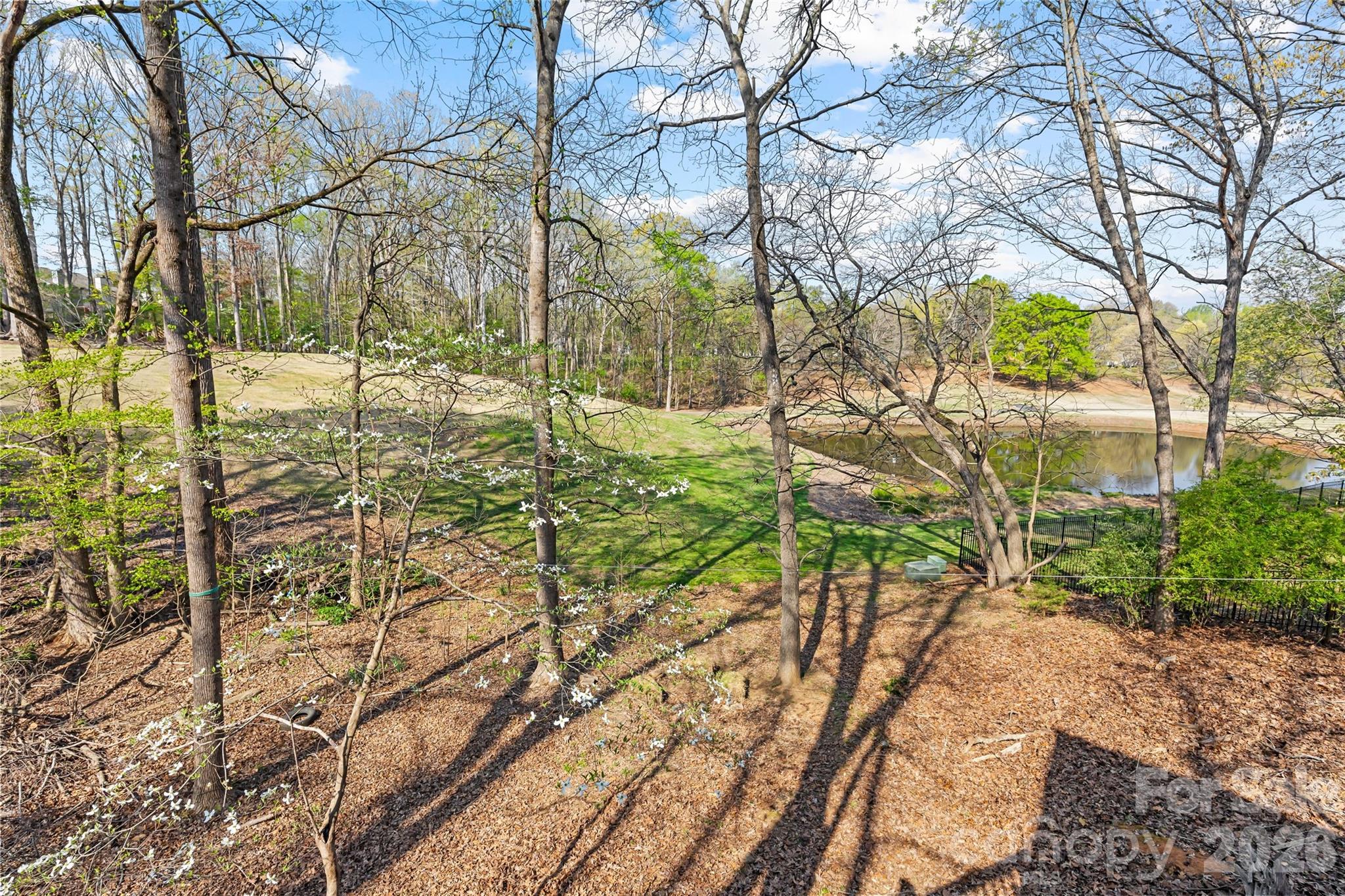 9406 Fairway Ridge Road Charlotte, NC 28277 - Photo 47 of 48