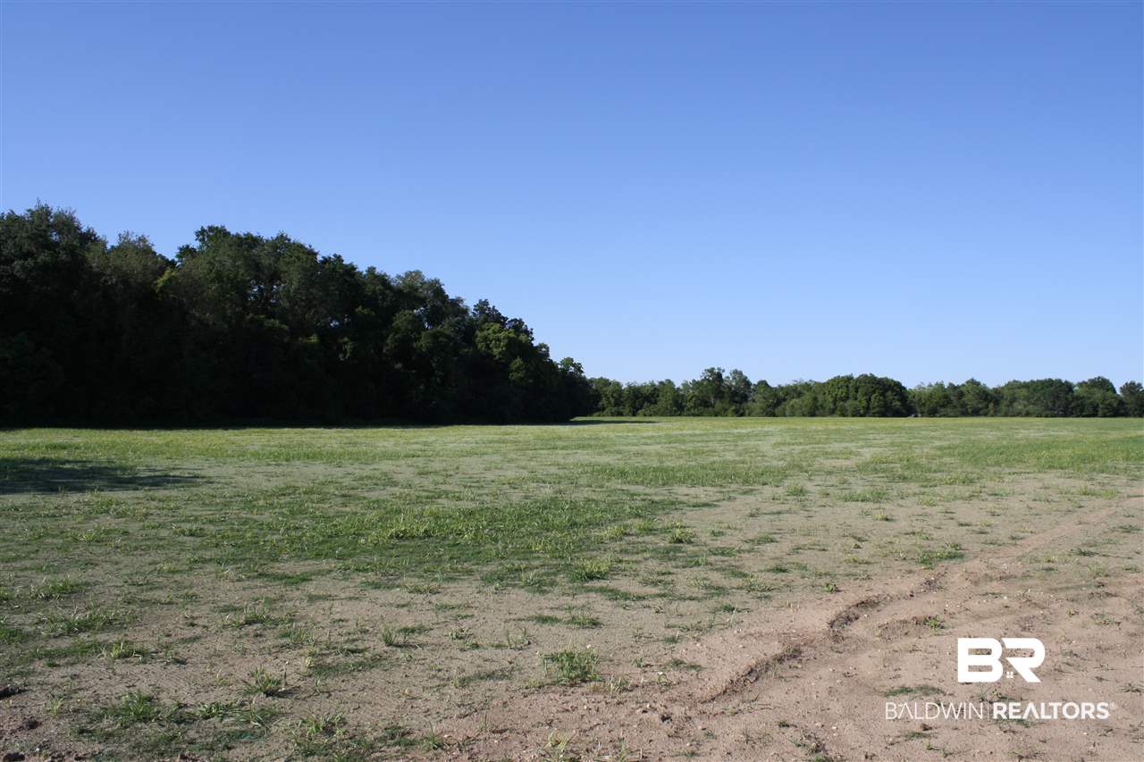 0 Vernant Park Road Foley, AL 36535 - Photo 19 of 20