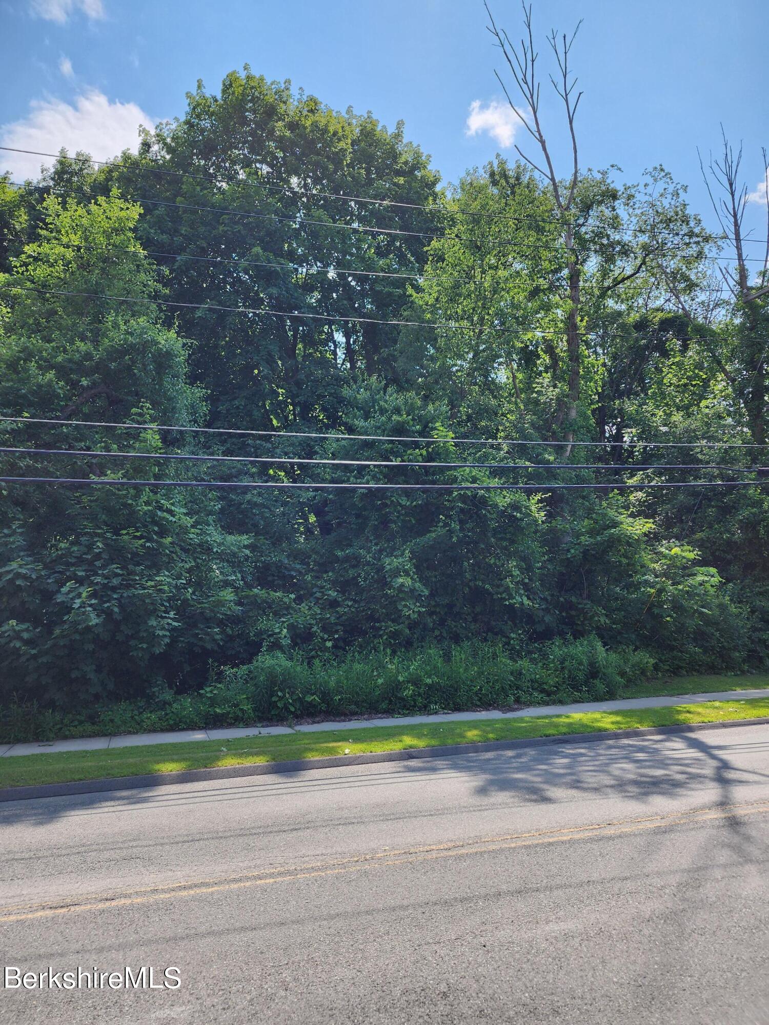 0 Pecks Road Pittsfield, MA 01201 - Photo 1 of 4 Frontage