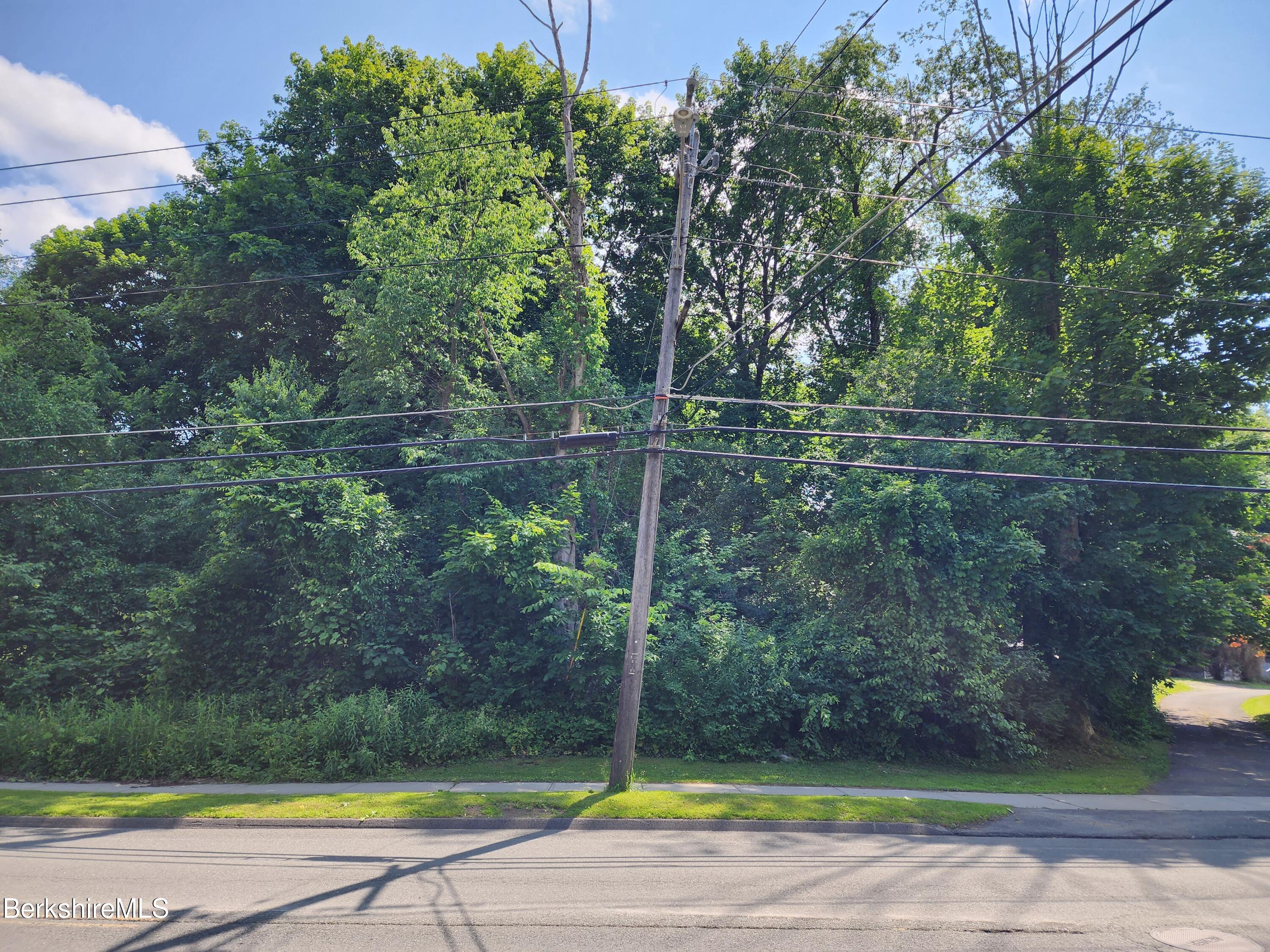0 Pecks Road Pittsfield, MA 01201 - Photo 2 of 4 Frontage