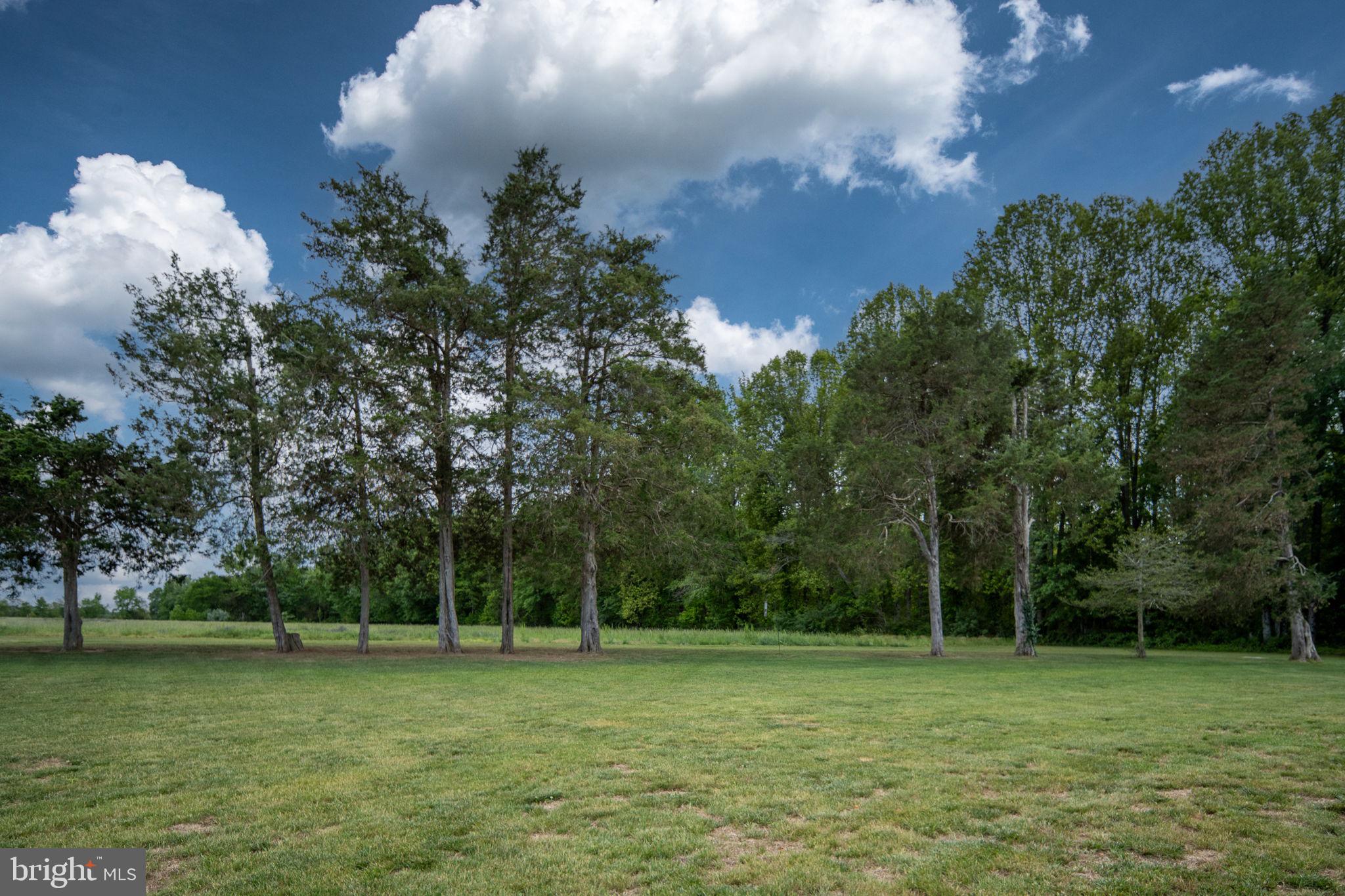 145 Forest Lane Road Fredericksburg, VA 22405 - Photo 96 of 109