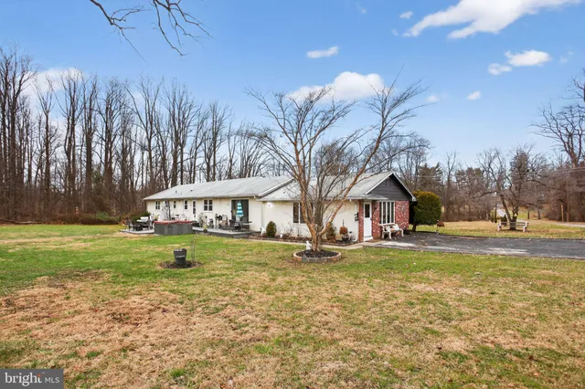 a view of yard with green space