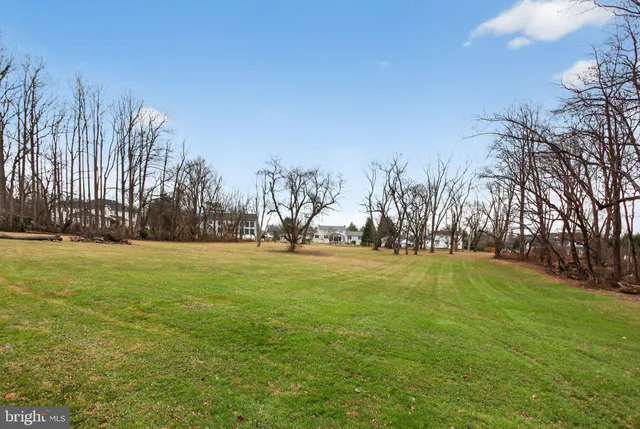 a view of a bird bath