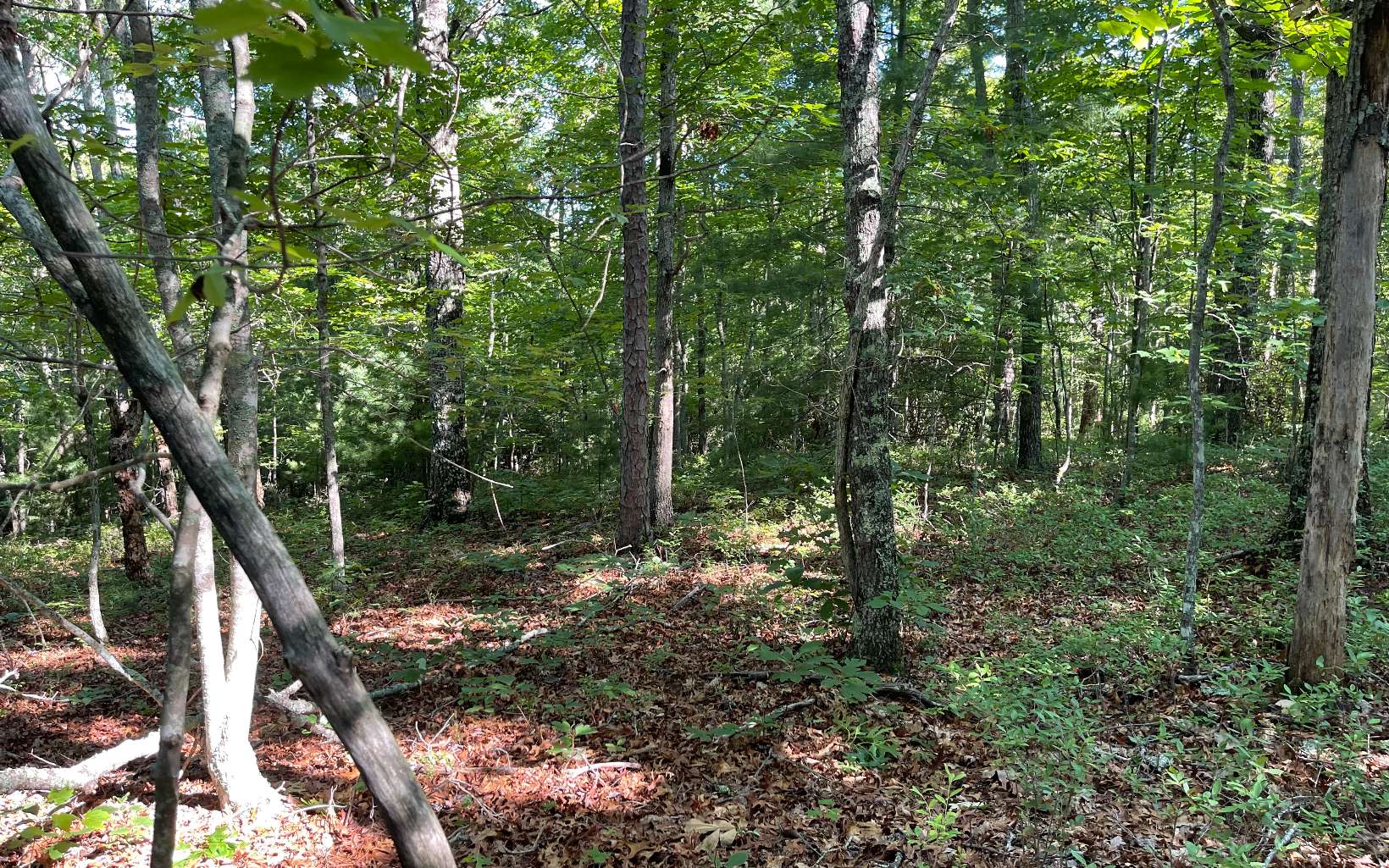 3-ac Mt Carmel Road Morganton, GA 30560 - Photo 3 of 4 Additional View