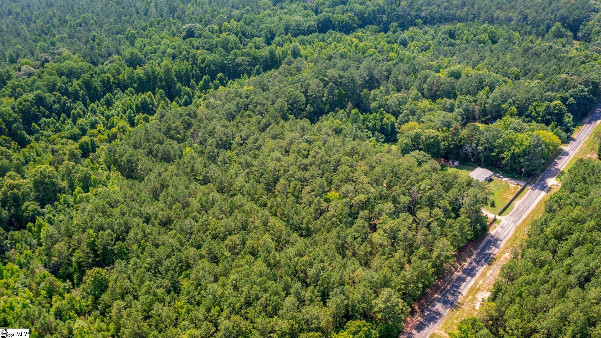0 Stomp Springs Road Clinton, SC 29325 - Photo 13 of 15