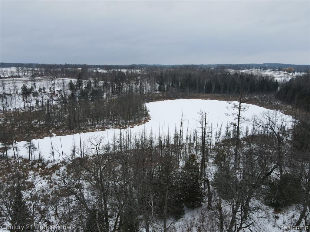 3608 South State Road Glennie, MI 48737 - Photo 38 of 42