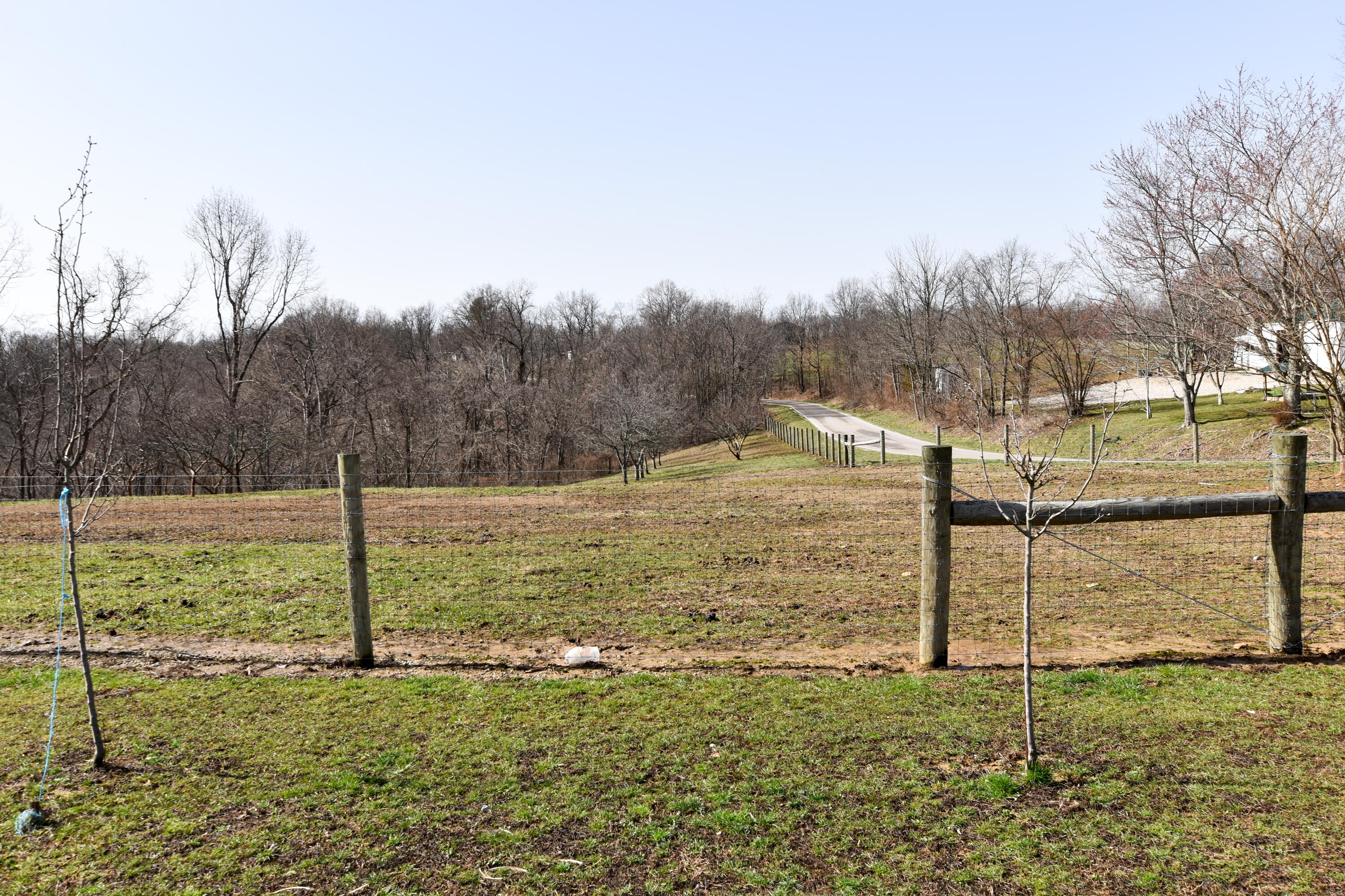 965 Oakridge Road Vanceburg, KY 41179 - Photo 47 of 97 DSC_0043