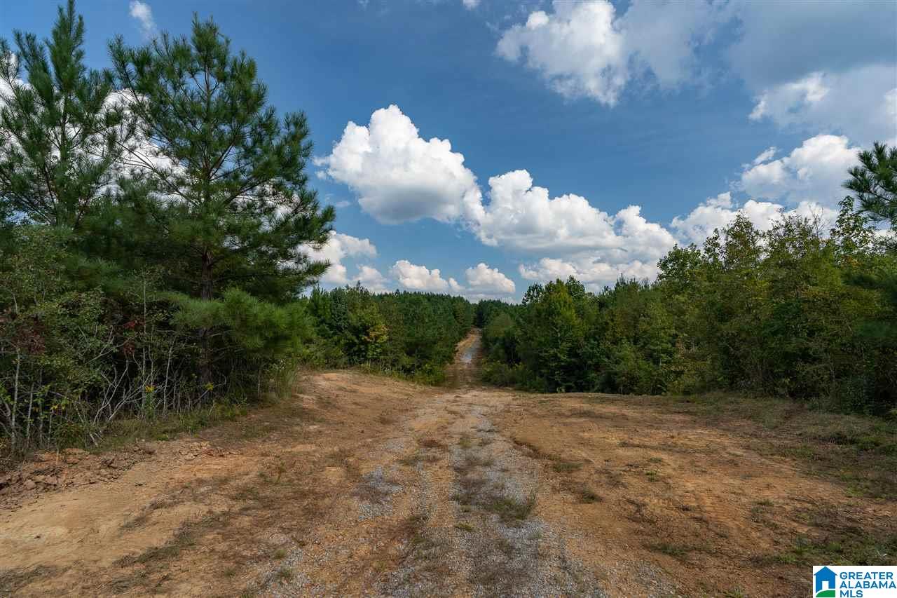 8967 Highway 55, Unit 2 & 3 Sterrett, AL 35147 - Photo 11 of 23