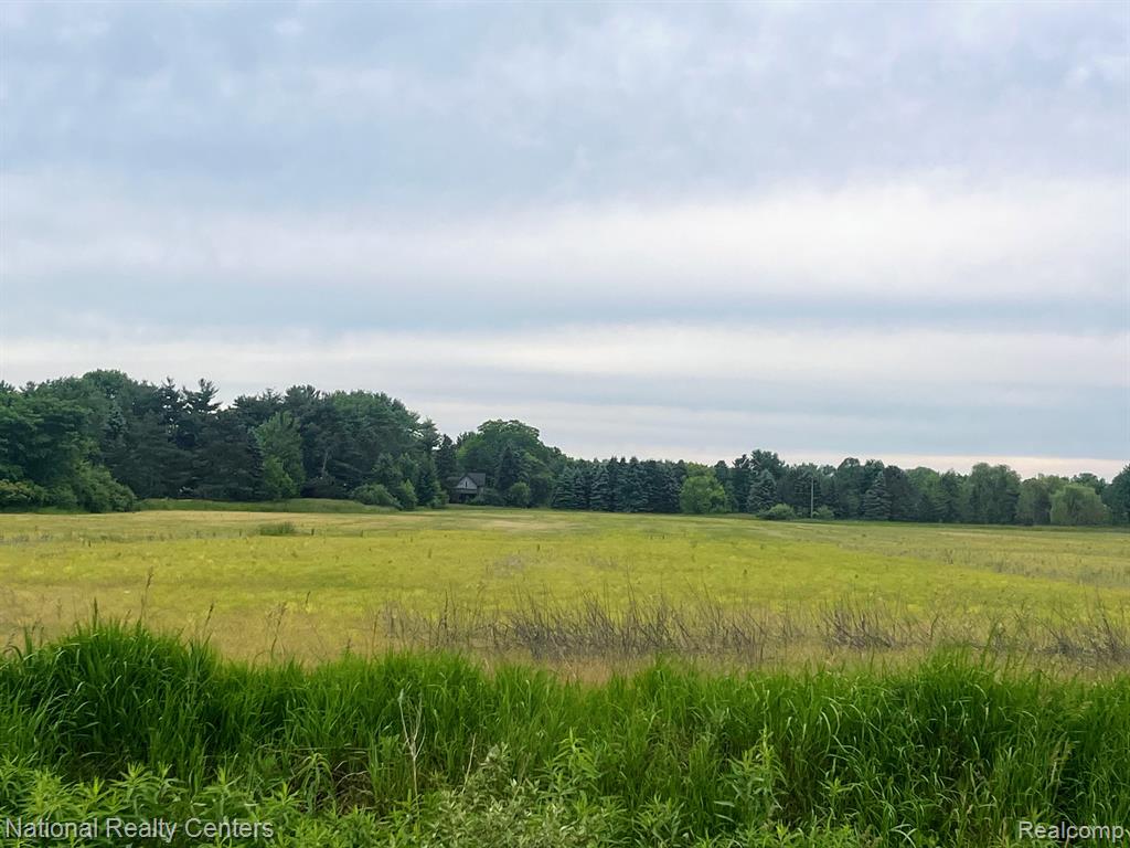 Parcel G Burt Road Allenton, MI 48002 - Photo 1 of 2