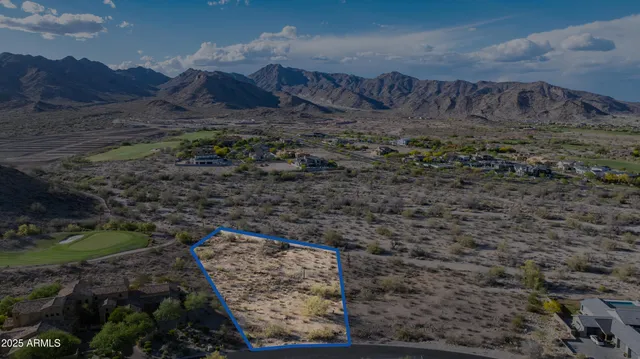 a view of a dry yard