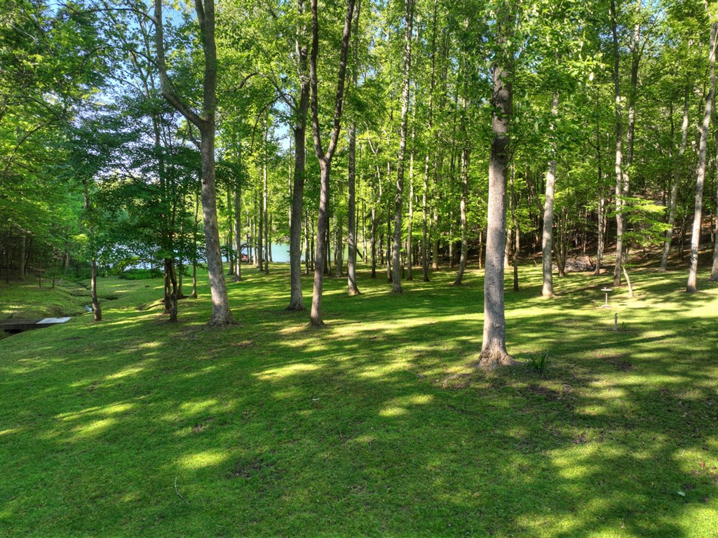 11 Mattie Mitchell Road Morganton, GA 30560 - Photo 30 of 64
