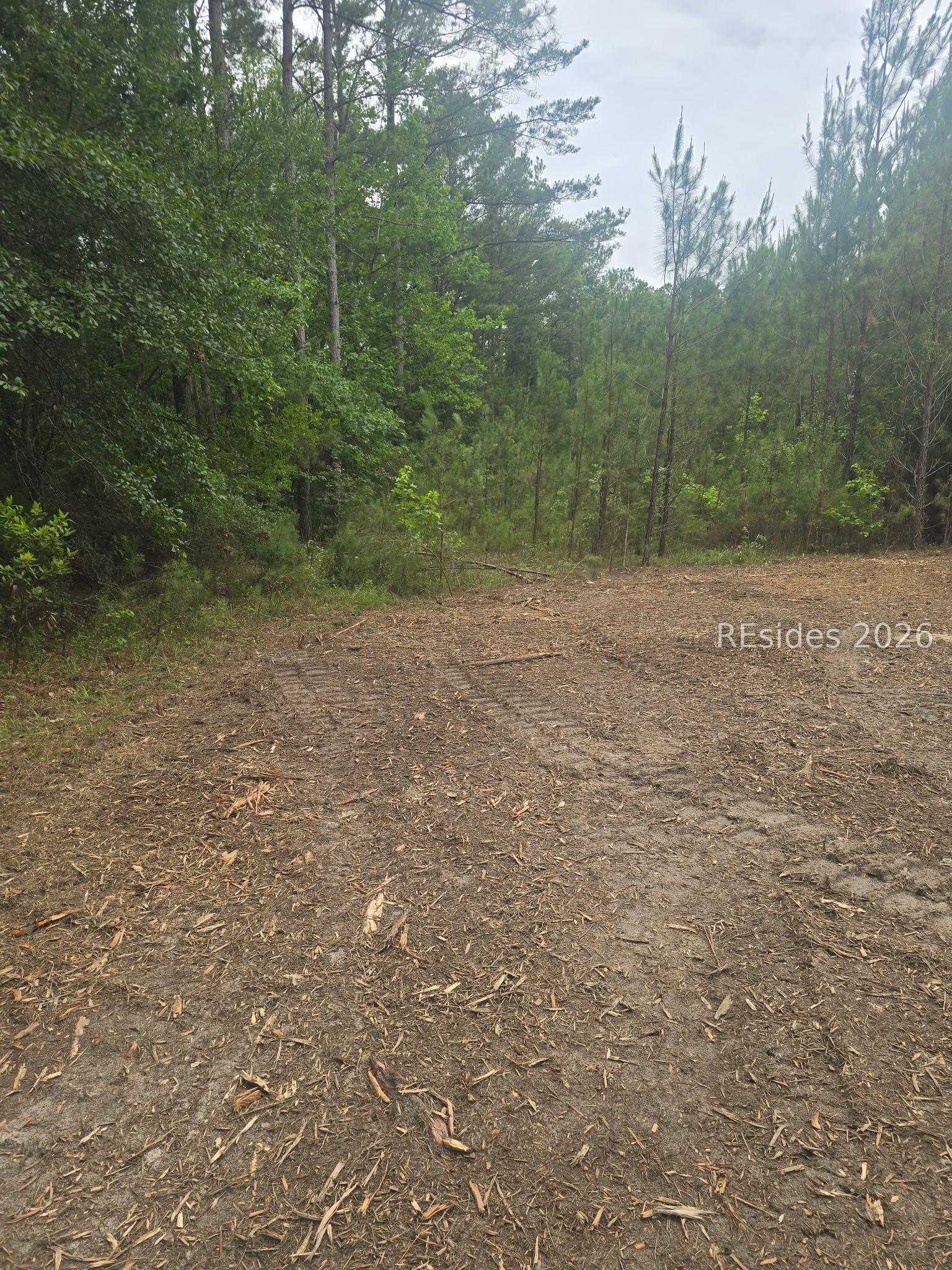 Tbd Firetower Road Ridgeland, SC 29936 - Photo 14 of 17