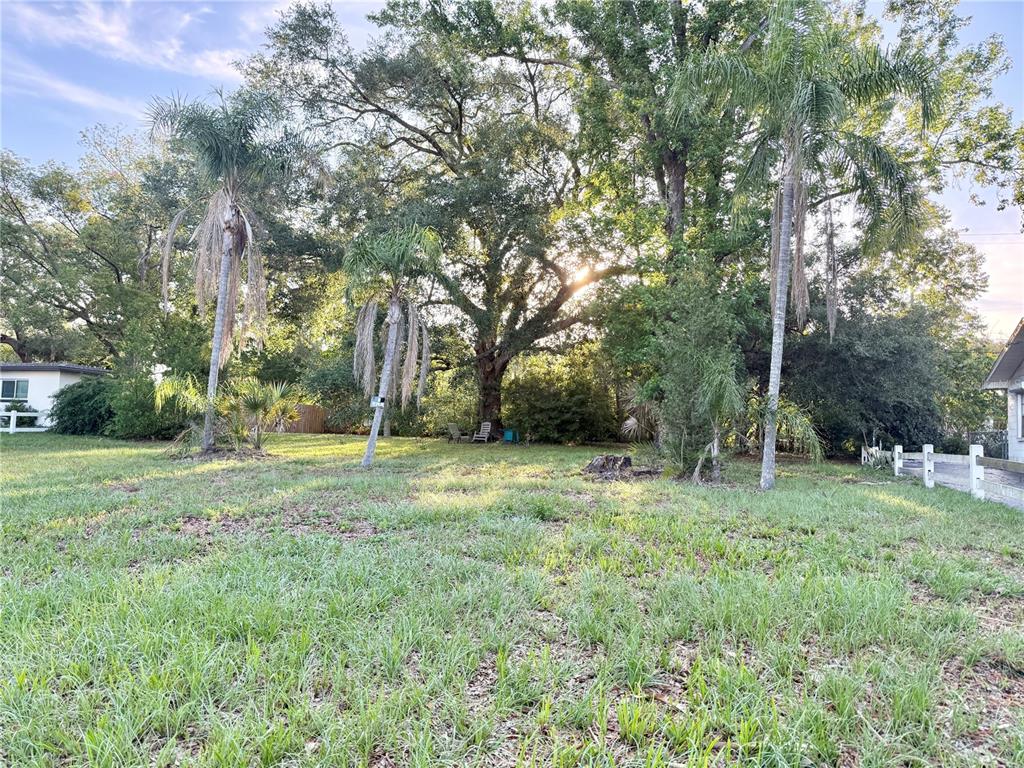 304 Springdale Place Temple Terrace, FL 33617 - Photo 2 of 7