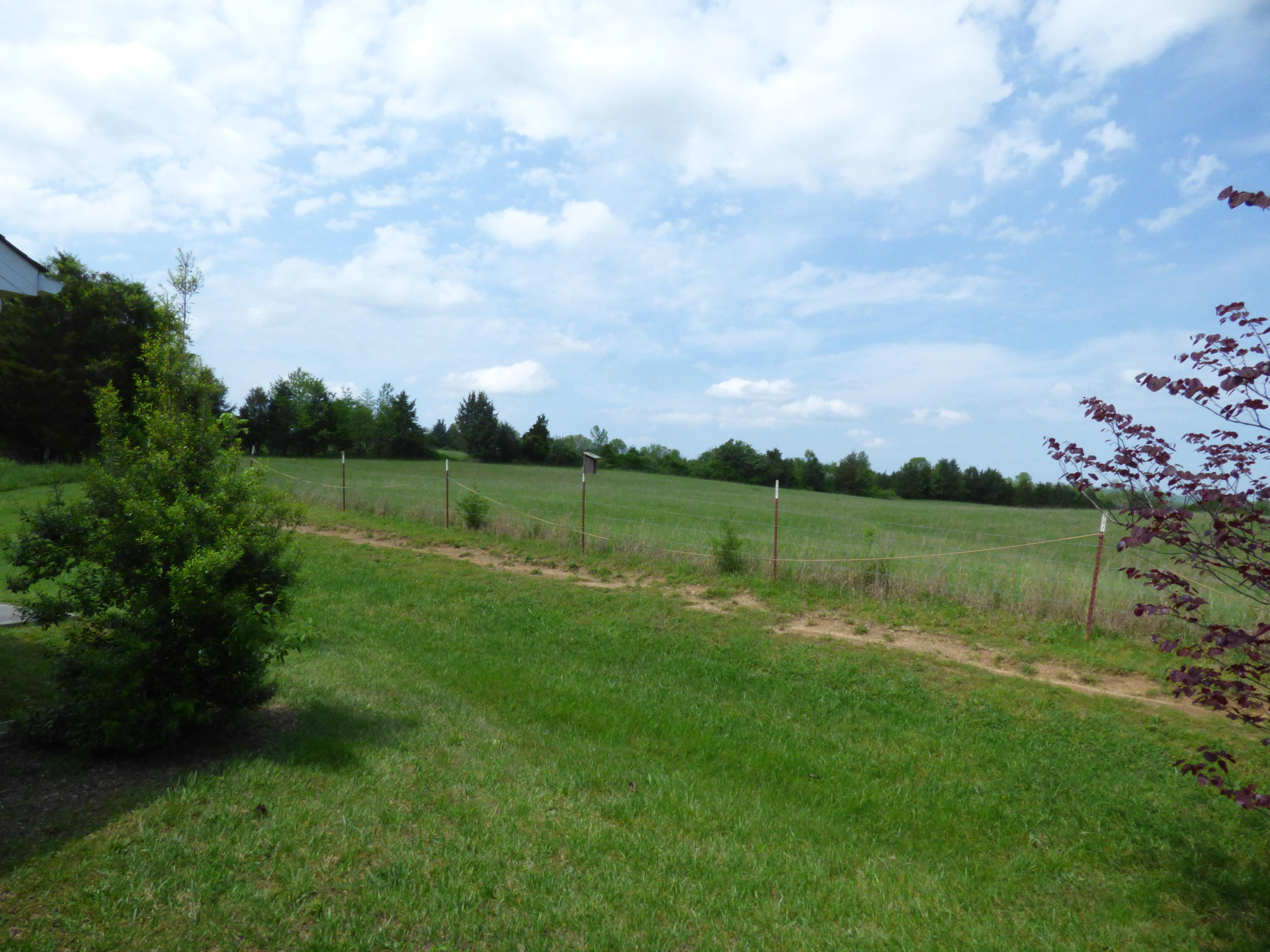 322 Angus Crossing Corryton, TN 37721 - Photo 11 of 25 Back yard views!