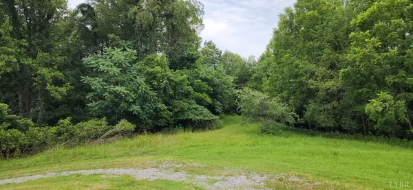 a view of a grassy field with trees