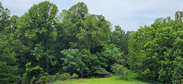 a view of a grassy field with trees in the background