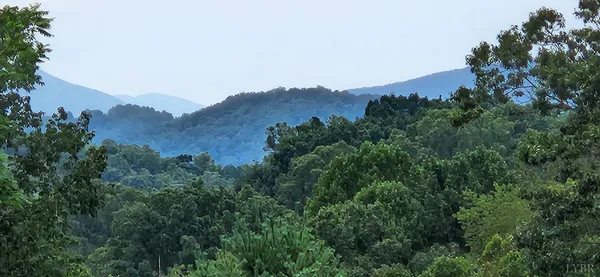 $199,900 | 13384 Hardy Road, Hardy, VA 24101