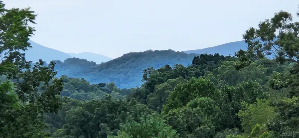 $199,900 | 13384 Hardy Road, Hardy, VA 24101