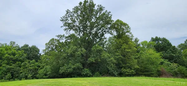 a view of a field with trees in the background