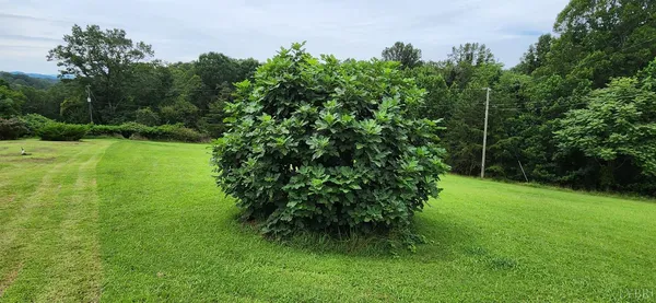 a kitchen with stainless steel appliances granite countertop a refrigerator and a stove