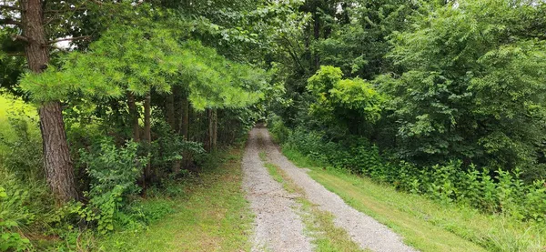 a view of a room that has a window in it