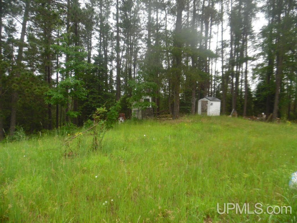 Tbd Tbd Sz Road Cornell, MI 49818 - Photo 8 of 15