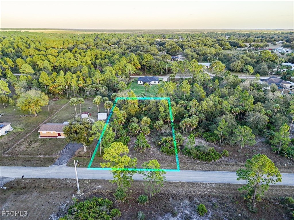 2310 Louis Avenue Alva, FL 33920 - Photo 5 of 32