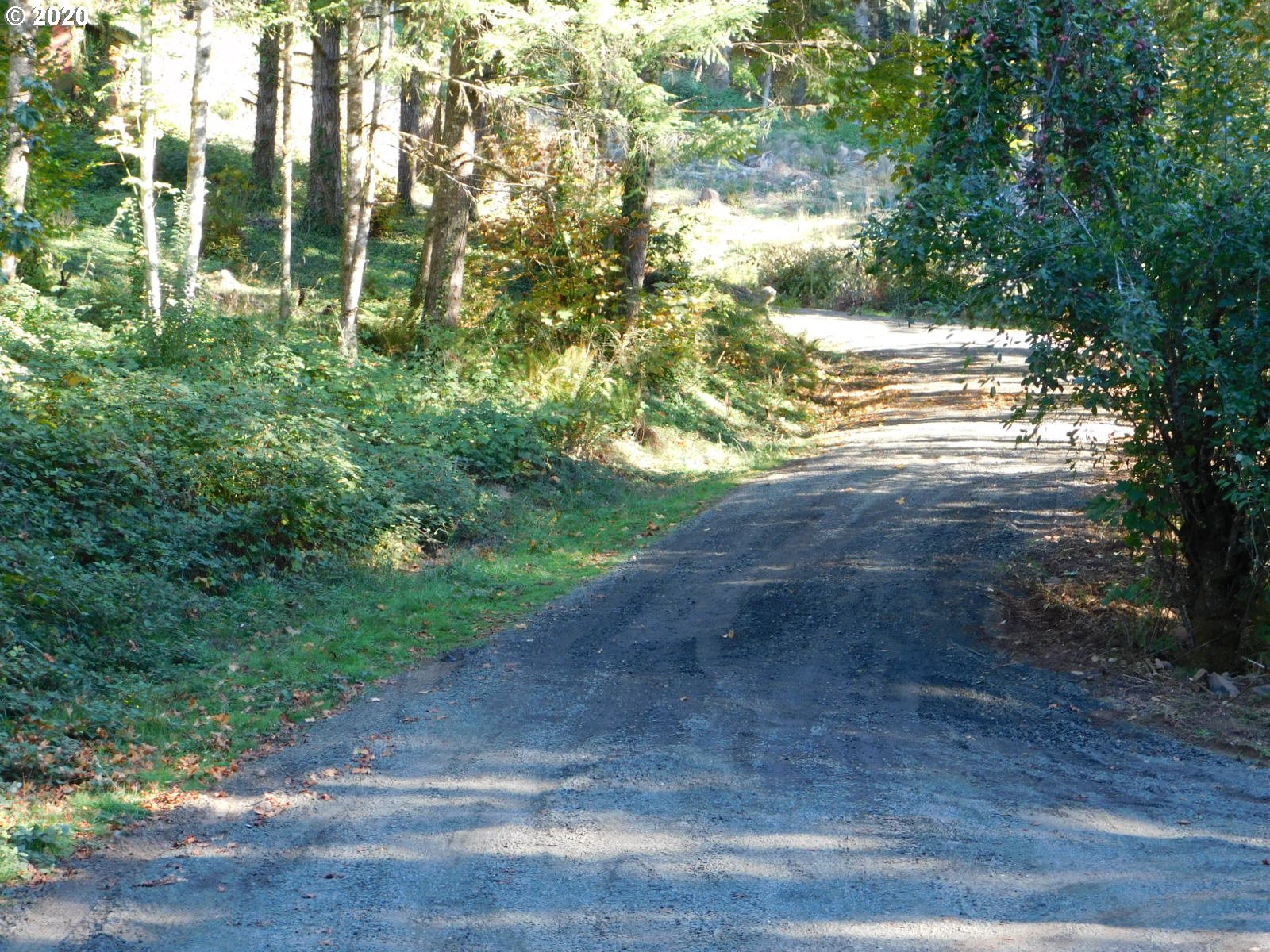 35775 Row River Road Cottage Grove, OR 97424 - Photo 27 of 28 Gallery Image 27