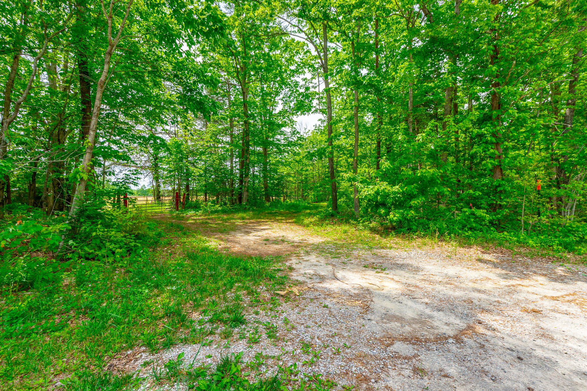 0 Ray Gadd Road Graysville, TN 37338 - Photo 24 of 109 Ray Gadd Road Lot HD-61
