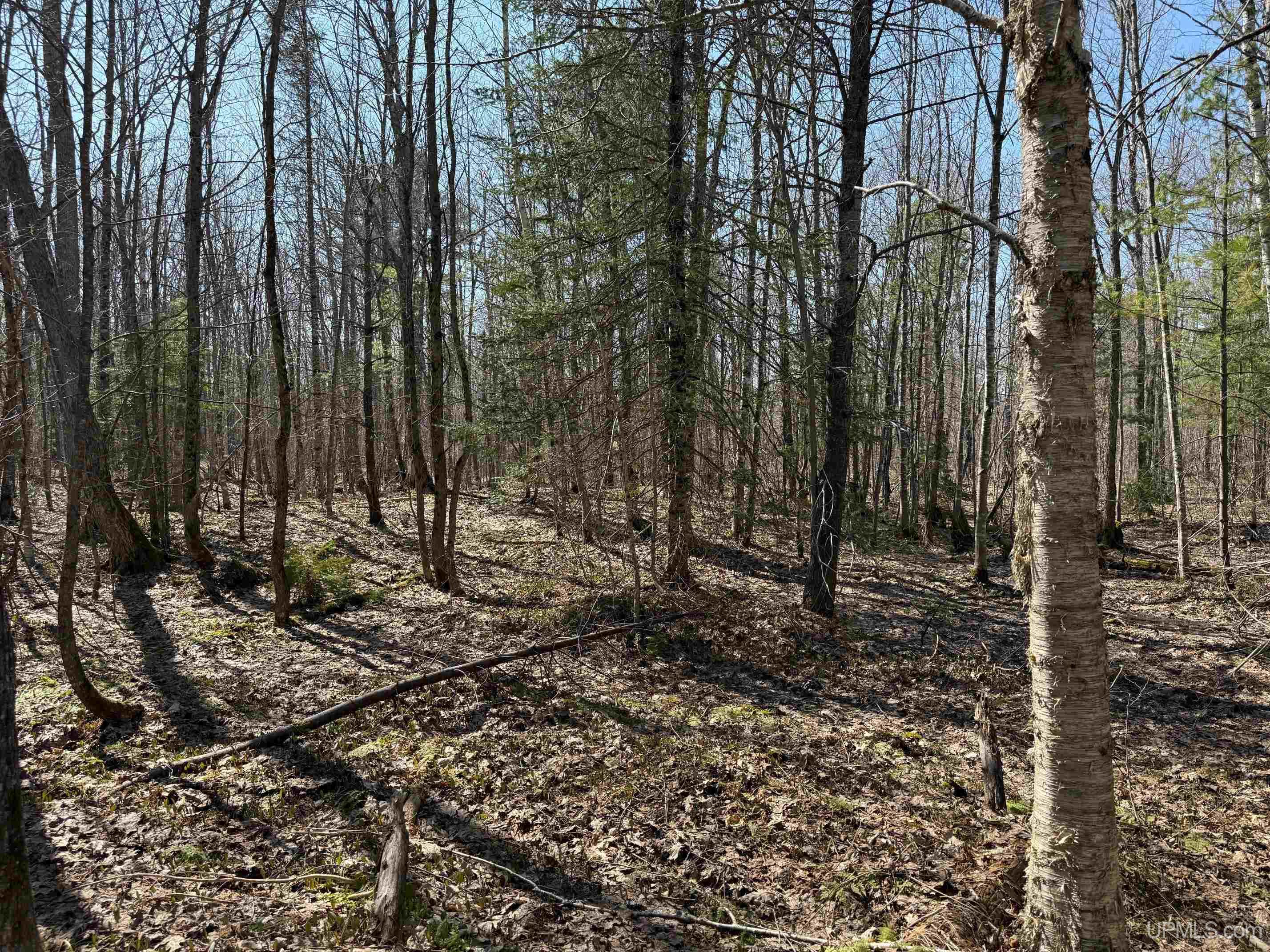 Tbdi Winona Road Toivola, MI 49965 - Photo 13 of 18
