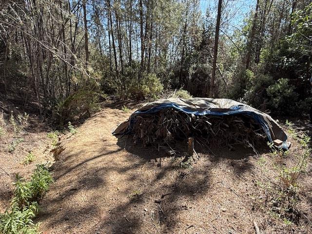 790040 Croy Road Morgan Hill, CA 95037 - Photo 12 of 39 a view of outdoor space and yard