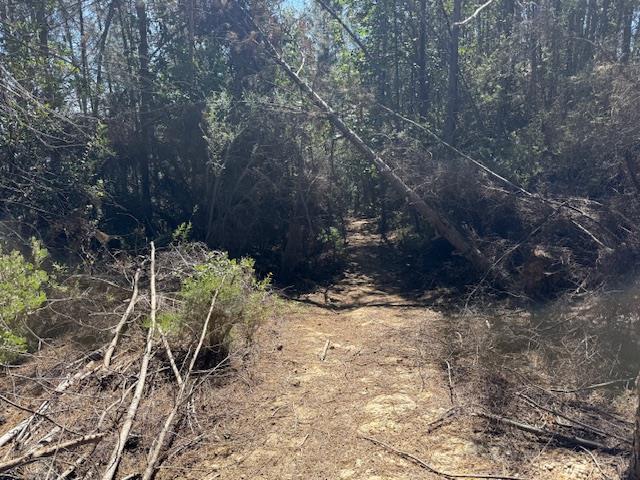 790040 Croy Road Morgan Hill, CA 95037 - Photo 13 of 39 a view of a backyard of a house