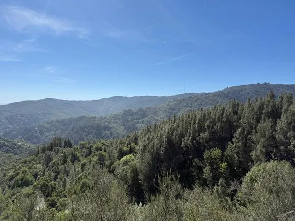 a view of a mountain range with trees