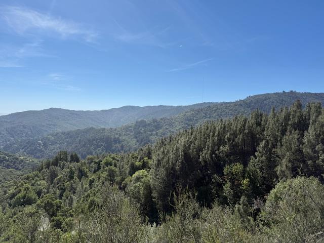 790040 Croy Road Morgan Hill, CA 95037 - Photo 14 of 39 a view of a mountain range with lush green forest