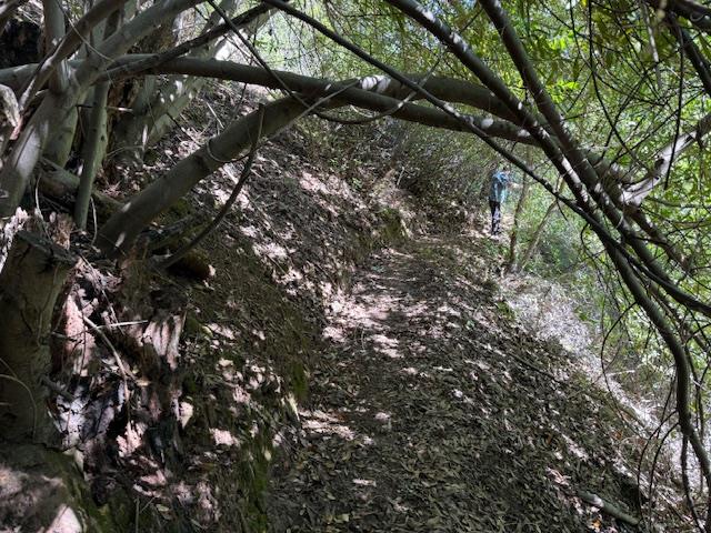 790040 Croy Road Morgan Hill, CA 95037 - Photo 17 of 39