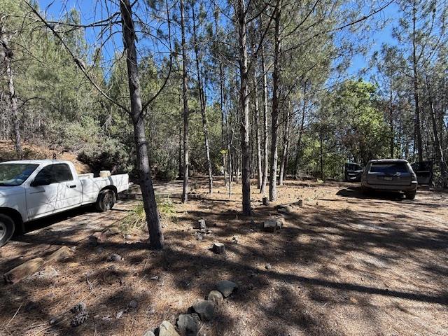 790040 Croy Road Morgan Hill, CA 95037 - Photo 19 of 39 a view of a park that has a tree on the side of it