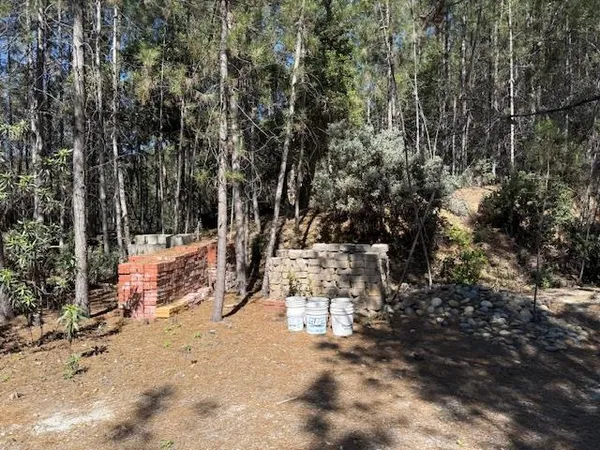 a view of dirt field with trees