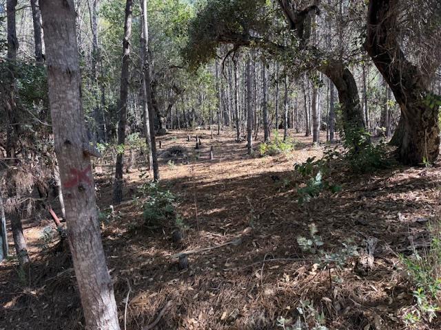 790040 Croy Road Morgan Hill, CA 95037 - Photo 23 of 39 a view of outdoor space with trees