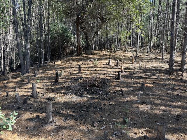 790040 Croy Road Morgan Hill, CA 95037 - Photo 30 of 39 a view of outdoor space with trees