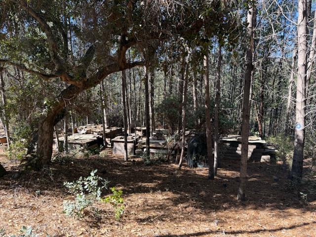 790040 Croy Road Morgan Hill, CA 95037 - Photo 32 of 39 a view of outdoor space with lots of trees