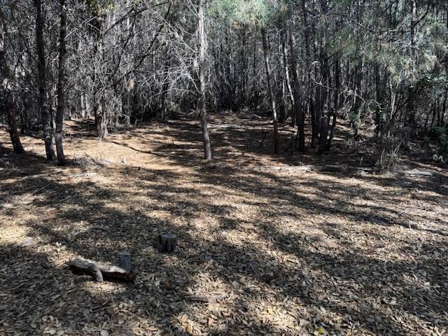 790040 Croy Road Morgan Hill, CA 95037 - Photo 33 of 39 a view of outdoor space with trees