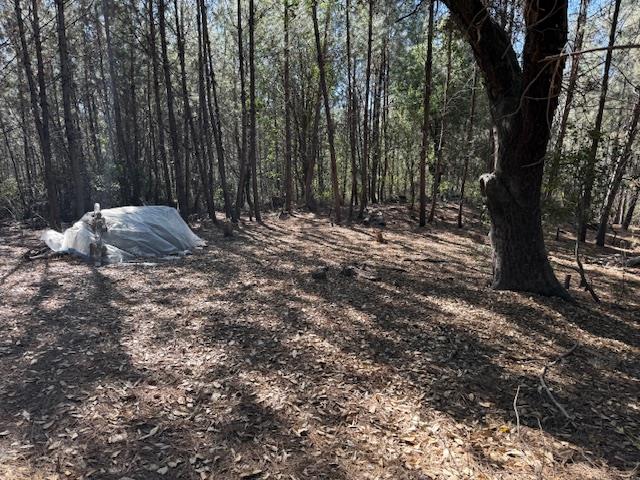 790040 Croy Road Morgan Hill, CA 95037 - Photo 35 of 39 a backyard of a house with lots of green space