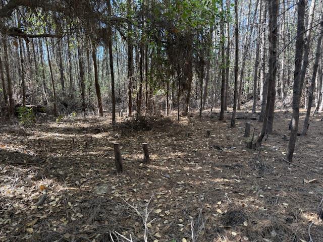 790040 Croy Road Morgan Hill, CA 95037 - Photo 36 of 39 a view of a forest with trees