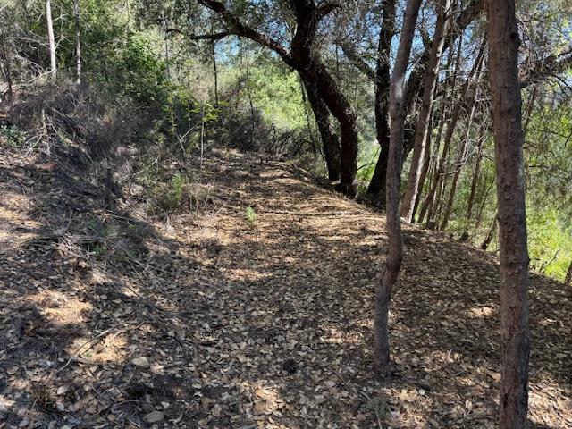 790040 Croy Road Morgan Hill, CA 95037 - Photo 37 of 39 a view of outdoor space and a yard