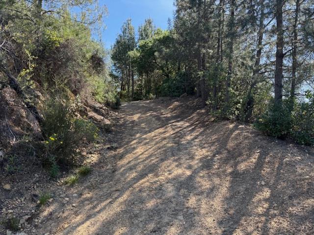 790040 Croy Road Morgan Hill, CA 95037 - Photo 8 of 39 a view of a forest with trees in the background