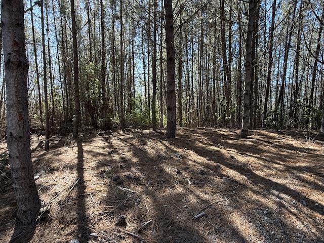 790040 Croy Road Morgan Hill, CA 95037 - Photo 9 of 39 a view of outdoor space with deck