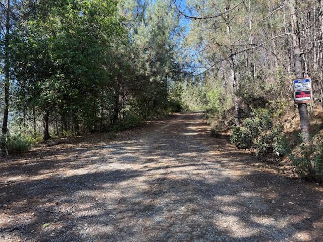790040 Croy Road Morgan Hill, CA 95037 - Photo 10 of 39 a view of a street with trees and bushes