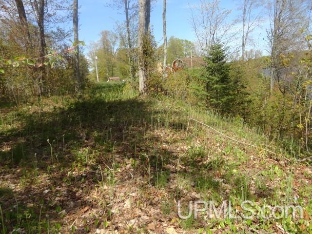 Tbd Autrain Forest Lake Road Au Train, MI 49806 - Photo 8 of 12