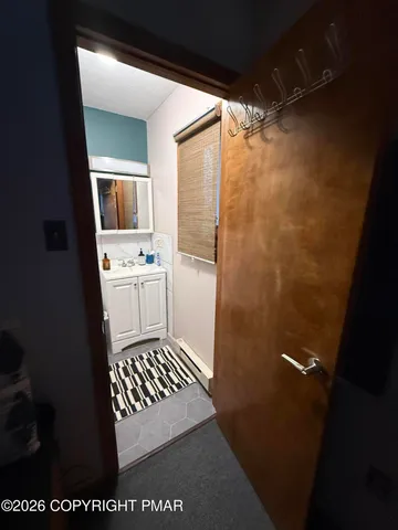 a bathroom with a sink and a shower