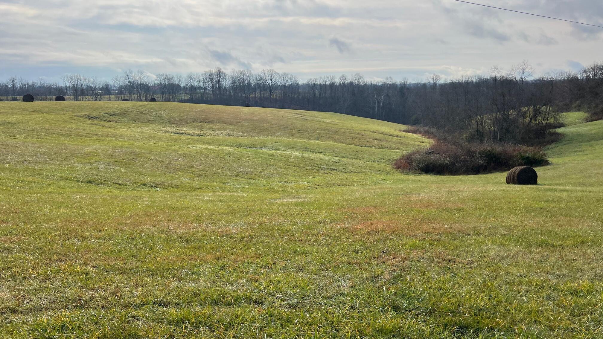 360-5 Mulligan Road Dry Ridge, KY 41035 - Photo 13 of 19